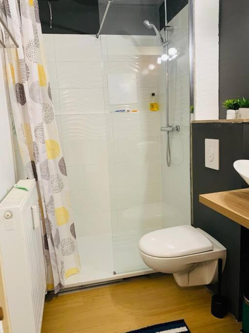 Appartement Tres Proche Mediacite - Centre Ville Liege Luaran gambar